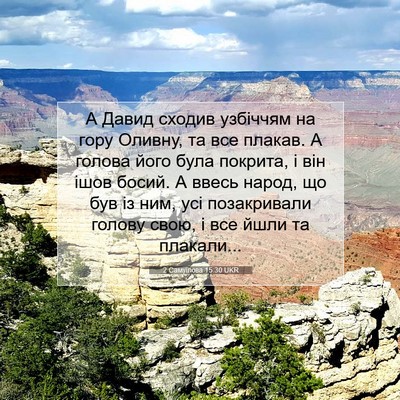 Picture 07 - 2 Самуїлова 15:30 UKR - А Давид сходив узбіччям на - Bible Verse Picture