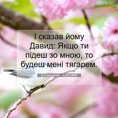 Picture 07 - 2 Самуїлова 15:33 UKR - І сказав йому Давид: Якщо - Bible Verse Picture