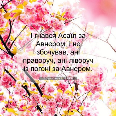 Picture 07 - 2 Самуїлова 2:19 UKR - І гнався Асаїл за Авнером, - Bible Verse Picture