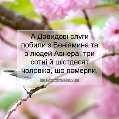 Picture 07 - 2 Самуїлова 2:31 UKR - А Давидові слуги побили з - Bible Verse Picture