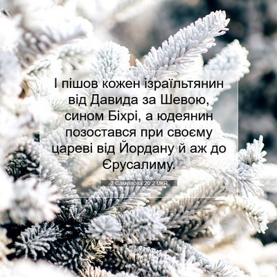 Picture 07 - 2 Самуїлова 20:2 UKR - І пішов кожен ізраїльтянин - Bible Verse Picture
