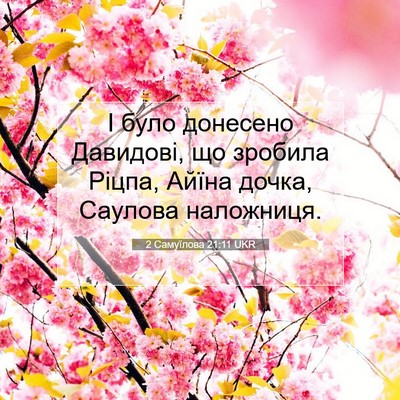 Picture 07 - 2 Самуїлова 21:11 UKR - І було донесено Давидові, - Bible Verse Picture