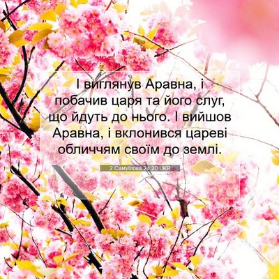 Picture 07 - 2 Самуїлова 24:20 UKR - І виглянув Аравна, і - Bible Verse Picture
