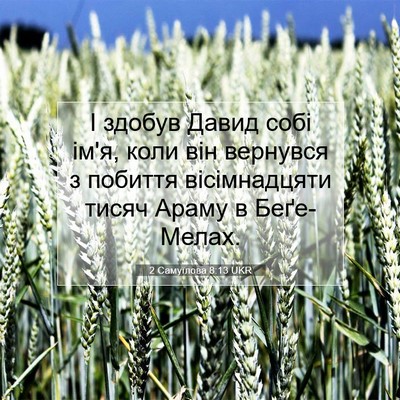 Picture 07 - 2 Самуїлова 8:13 UKR - І здобув Давид собі ім'я, - Bible Verse Picture