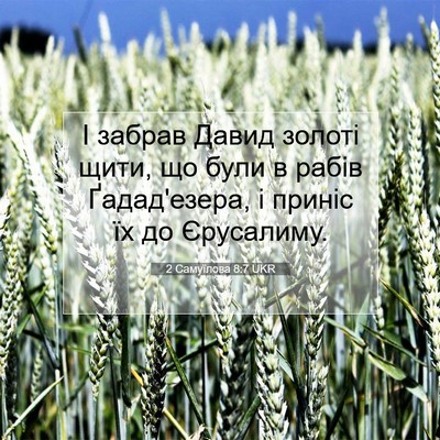 Picture 07 - 2 Самуїлова 8:7 UKR - І забрав Давид золоті щити, - Bible Verse Picture