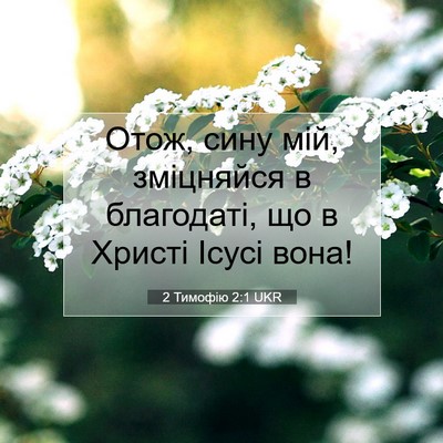 Picture 07 - 2 Тимофію 2:1 UKR - Отож, сину мій, зміцняйся в - Bible Verse Picture