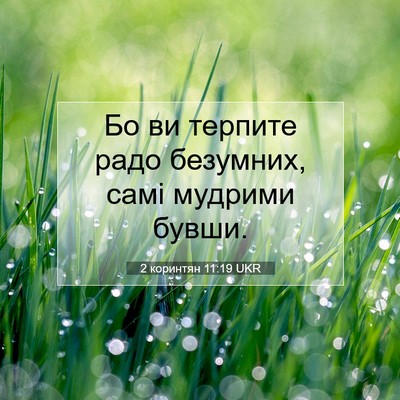 Picture 07 - 2 коринтян 11:19 UKR - Бо ви терпите радо - Bible Verse Picture