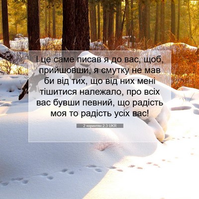 Picture 07 - 2 коринтян 2:3 UKR - І це саме писав я до вас, - Bible Verse Picture