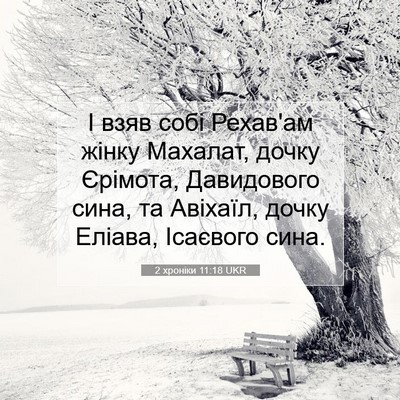 Picture 07 - 2 хроніки 11:18 UKR - І взяв собі Рехав'ам жінку - Bible Verse Picture