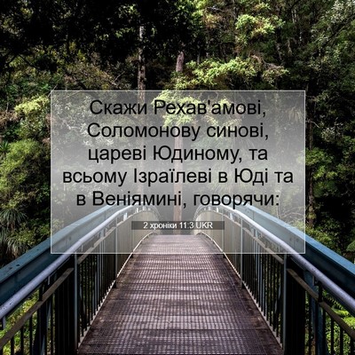 Picture 07 - 2 хроніки 11:3 UKR - Скажи Рехав'амові, - Bible Verse Picture
