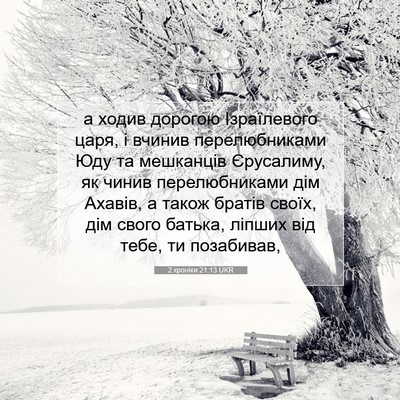 Picture 07 - 2 хроніки 21:13 UKR - а ходив дорогою - Bible Verse Picture