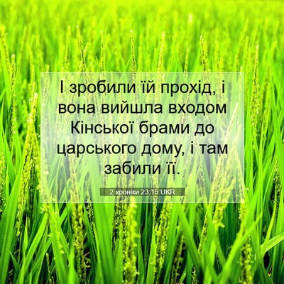 Picture 07 - 2 хроніки 23:15 UKR - І зробили їй прохід, і вона - Bible Verse Picture