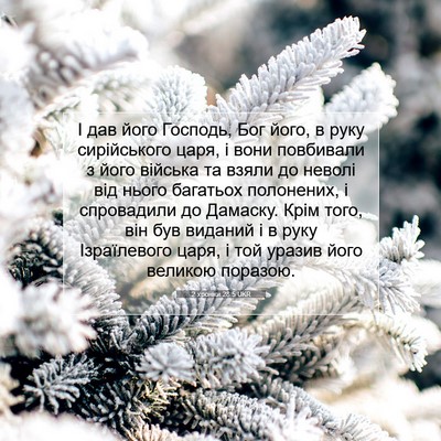 Picture 07 - 2 хроніки 28:5 UKR - І дав його Господь, Бог - Bible Verse Picture