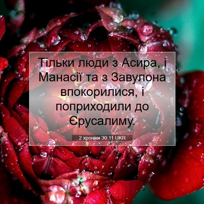 Picture 07 - 2 хроніки 30:11 UKR - Тільки люди з Асира, і - Bible Verse Picture