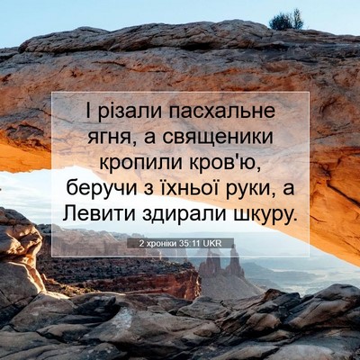 Picture 07 - 2 хроніки 35:11 UKR - І різали пасхальне ягня, а - Bible Verse Picture
