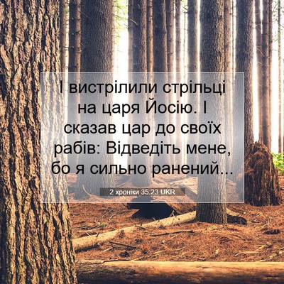 Picture 07 - 2 хроніки 35:23 UKR - І вистрілили стрільці на - Bible Verse Picture