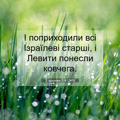 Picture 07 - 2 хроніки 5:4 UKR - І поприходили всі - Bible Verse Picture