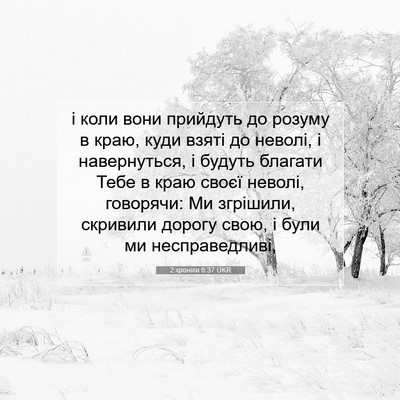 Picture 07 - 2 хроніки 6:37 UKR - і коли вони прийдуть до - Bible Verse Picture