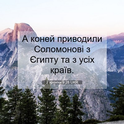 Picture 07 - 2 хроніки 9:28 UKR - А коней приводили - Bible Verse Picture