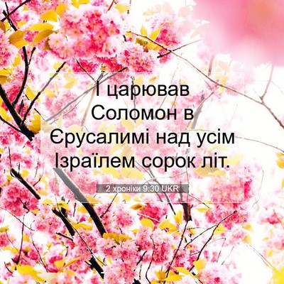 Picture 07 - 2 хроніки 9:30 UKR - І царював Соломон в - Bible Verse Picture