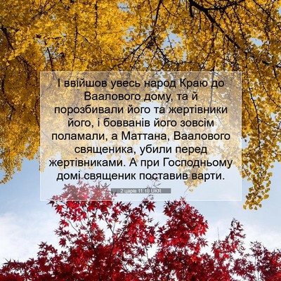 Picture 07 - 2 царів 11:18 UKR - І ввійшов увесь народ Краю - Bible Verse Picture