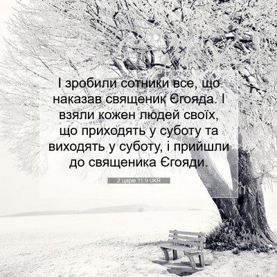 Picture 07 - 2 царів 11:9 UKR - І зробили сотники все, що - Bible Verse Picture