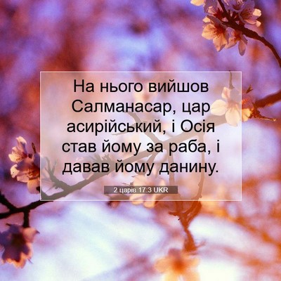 Picture 07 - 2 царів 17:3 UKR - На нього вийшов - Bible Verse Picture