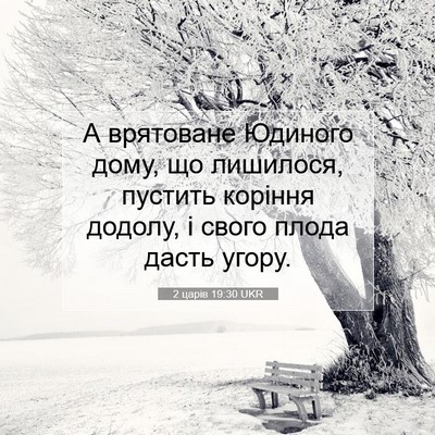 Picture 07 - 2 царів 19:30 UKR - А врятоване Юдиного дому, - Bible Verse Picture