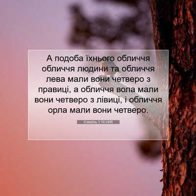 Picture 07 - Єзекіїль 1:10 UKR - А подоба їхнього обличчя - Bible Verse Picture