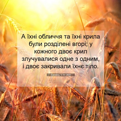 Picture 07 - Єзекіїль 1:11 UKR - А їхні обличчя та їхні - Bible Verse Picture