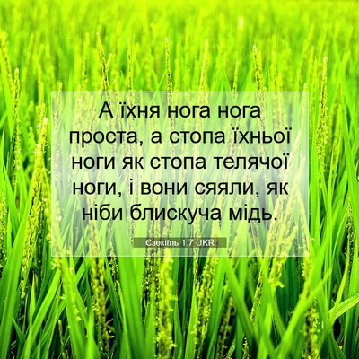 Picture 07 - Єзекіїль 1:7 UKR - А їхня нога нога проста, а - Bible Verse Picture