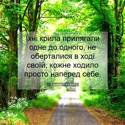 Picture 07 - Єзекіїль 1:9 UKR - Їхні крила прилягали одне - Bible Verse Picture