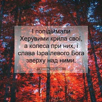 Picture 07 - Єзекіїль 11:22 UKR - І попідіймали Херувими - Bible Verse Picture