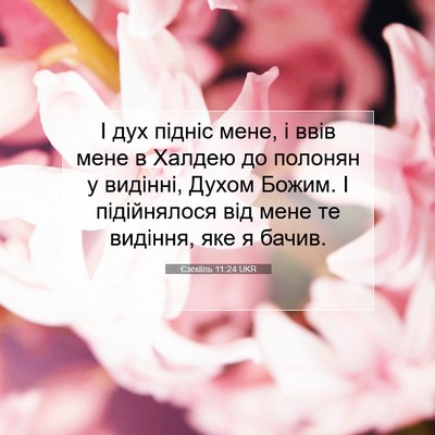 Picture 07 - Єзекіїль 11:24 UKR - І дух підніс мене, і ввів - Bible Verse Picture