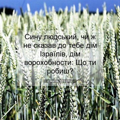 Picture 07 - Єзекіїль 12:9 UKR - Сину людський, чи ж не - Bible Verse Picture
