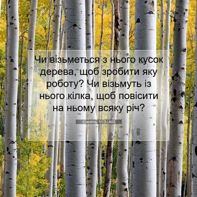 Picture 07 - Єзекіїль 15:3 UKR - Чи візьметься з нього - Bible Verse Picture