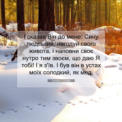 Picture 07 - Єзекіїль 3:3 UKR - І сказав Він до мене: Сину - Bible Verse Picture