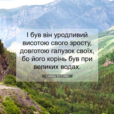 Picture 07 - Єзекіїль 31:7 UKR - І був він уродливий - Bible Verse Picture
