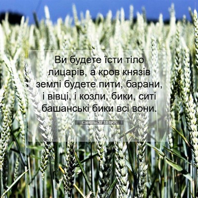 Picture 07 - Єзекіїль 39:18 UKR - Ви будете їсти тіло - Bible Verse Picture