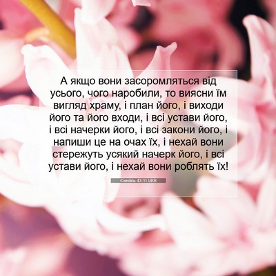 Picture 07 - Єзекіїль 43:11 UKR - А якщо вони засоромляться - Bible Verse Picture