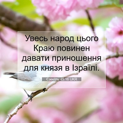Picture 07 - Єзекіїль 45:16 UKR - Увесь народ цього Краю - Bible Verse Picture