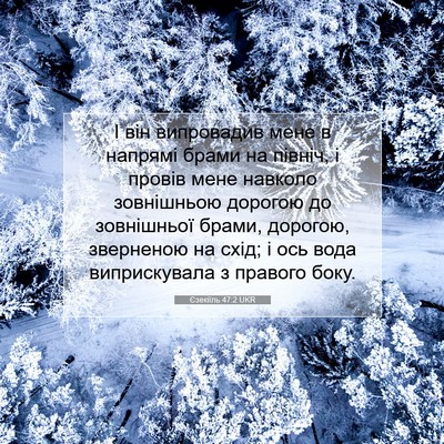 Picture 07 - Єзекіїль 47:2 UKR - І він випровадив мене в - Bible Verse Picture