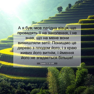 Picture 07 - Єремія 11:19 UKR - А я був, мов лагідна вівця, - Bible Verse Picture