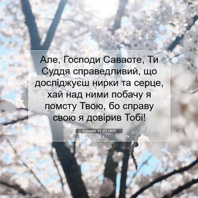 Picture 07 - Єремія 11:20 UKR - Але, Господи Саваоте, Ти - Bible Verse Picture