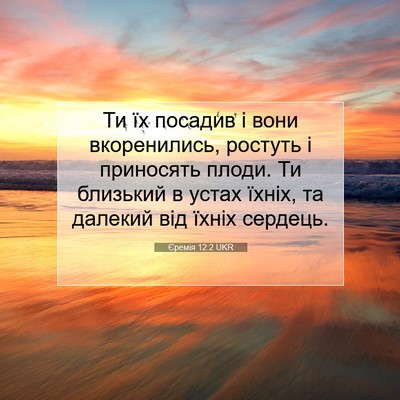 Picture 07 - Єремія 12:2 UKR - Ти їх посадив і вони - Bible Verse Picture