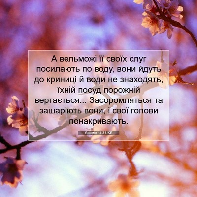 Picture 07 - Єремія 14:3 UKR - А вельможі її своїх слуг - Bible Verse Picture