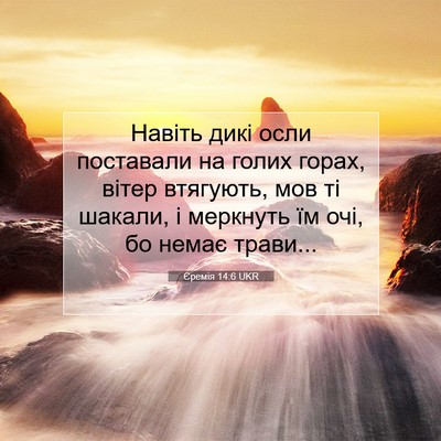 Picture 07 - Єремія 14:6 UKR - Навіть дикі осли поставали - Bible Verse Picture