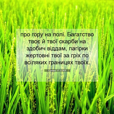 Picture 07 - Єремія 17:3 UKR - про гору на полі. Багатство - Bible Verse Picture