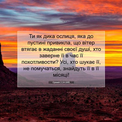 Picture 07 - Єремія 2:24 UKR - Ти як дика ослиця, яка до - Bible Verse Picture