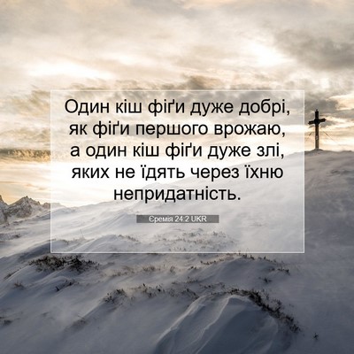 Picture 07 - Єремія 24:2 UKR - Один кіш фіґи дуже добрі, - Bible Verse Picture